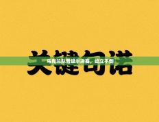 乌克兰队晋级半决赛，屹立不倒