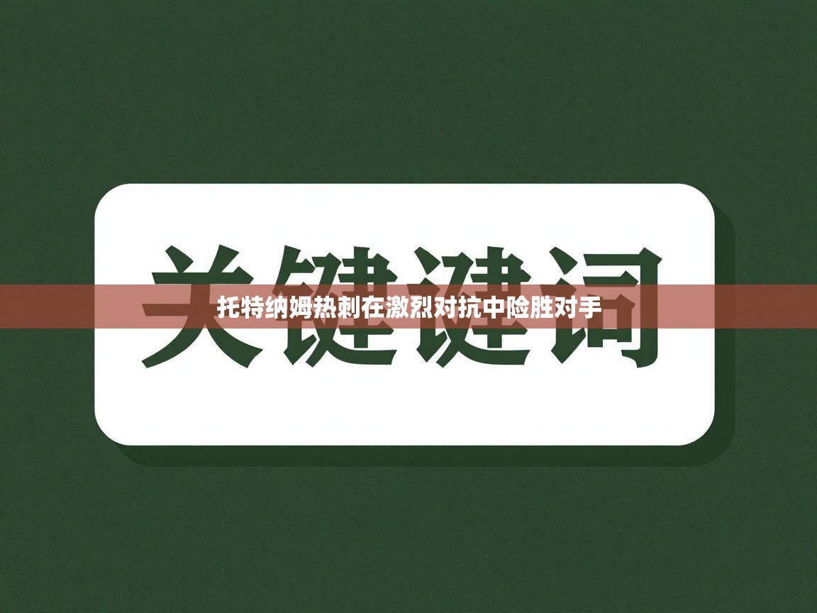 托特纳姆热刺在激烈对抗中险胜对手  第1张