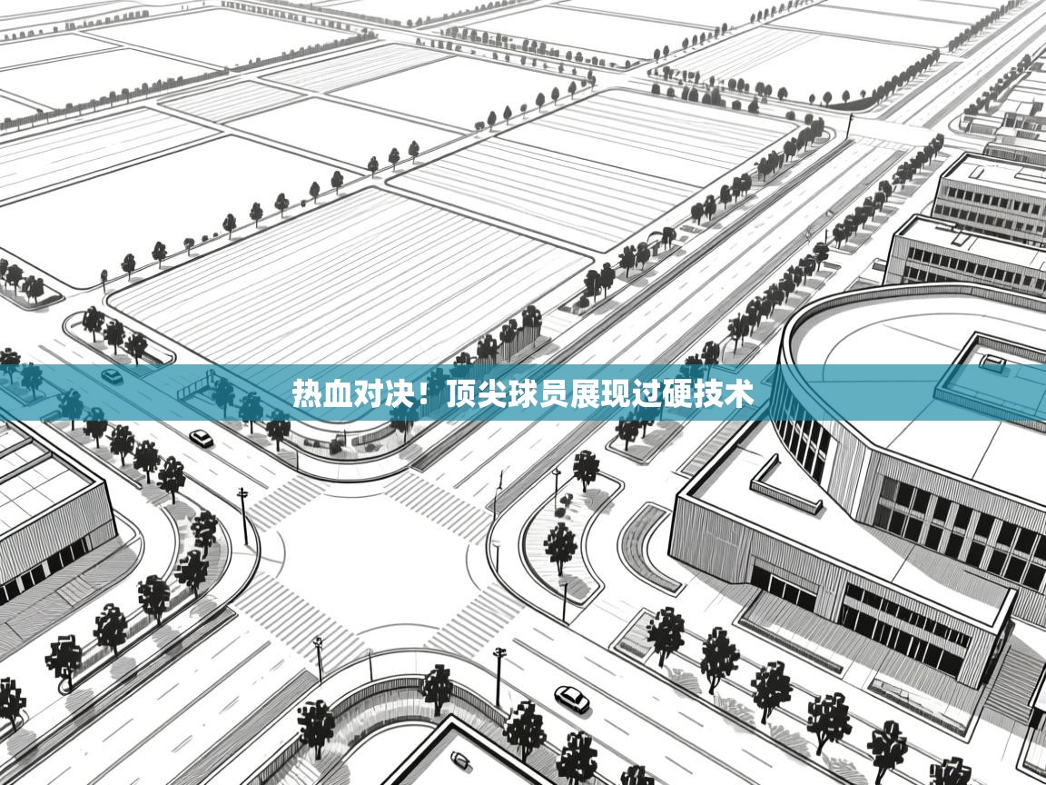 热血对决！顶尖球员展现过硬技术  第1张
