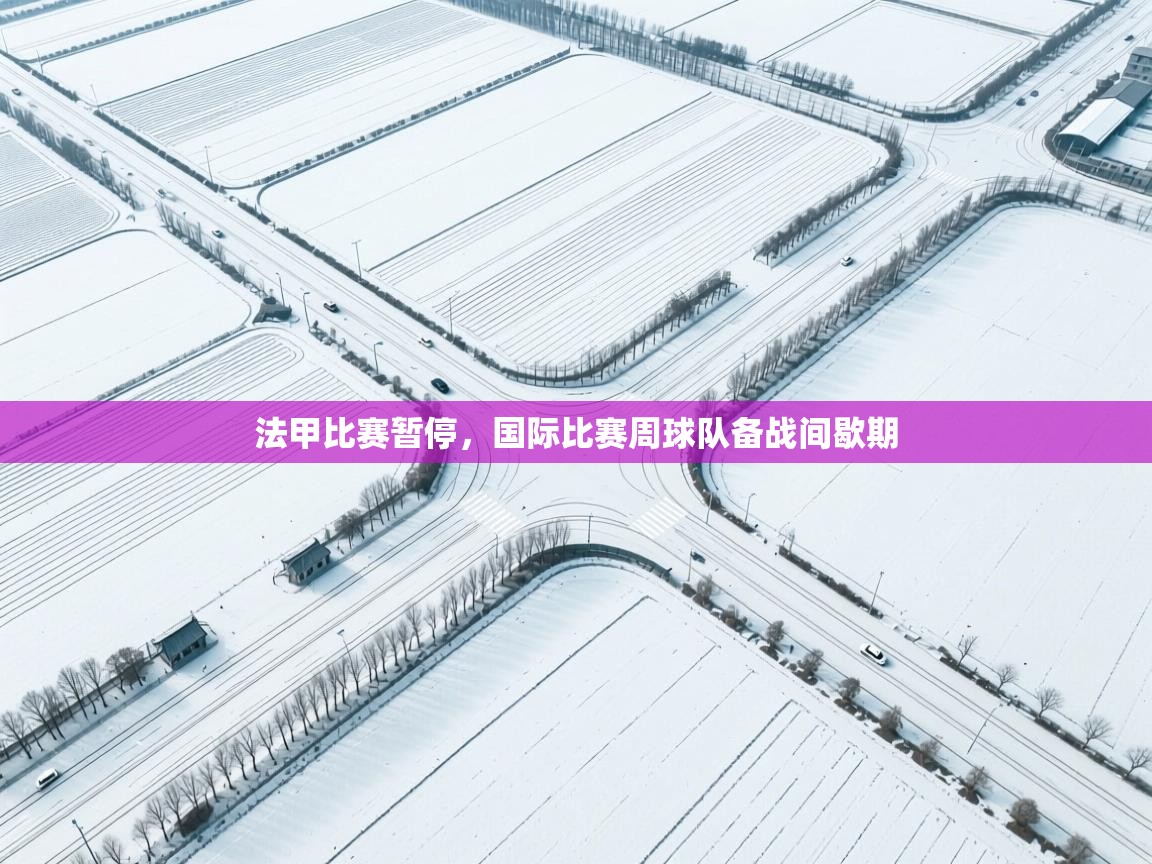 法甲比赛暂停,国际比赛周球队备战间歇期 第2张