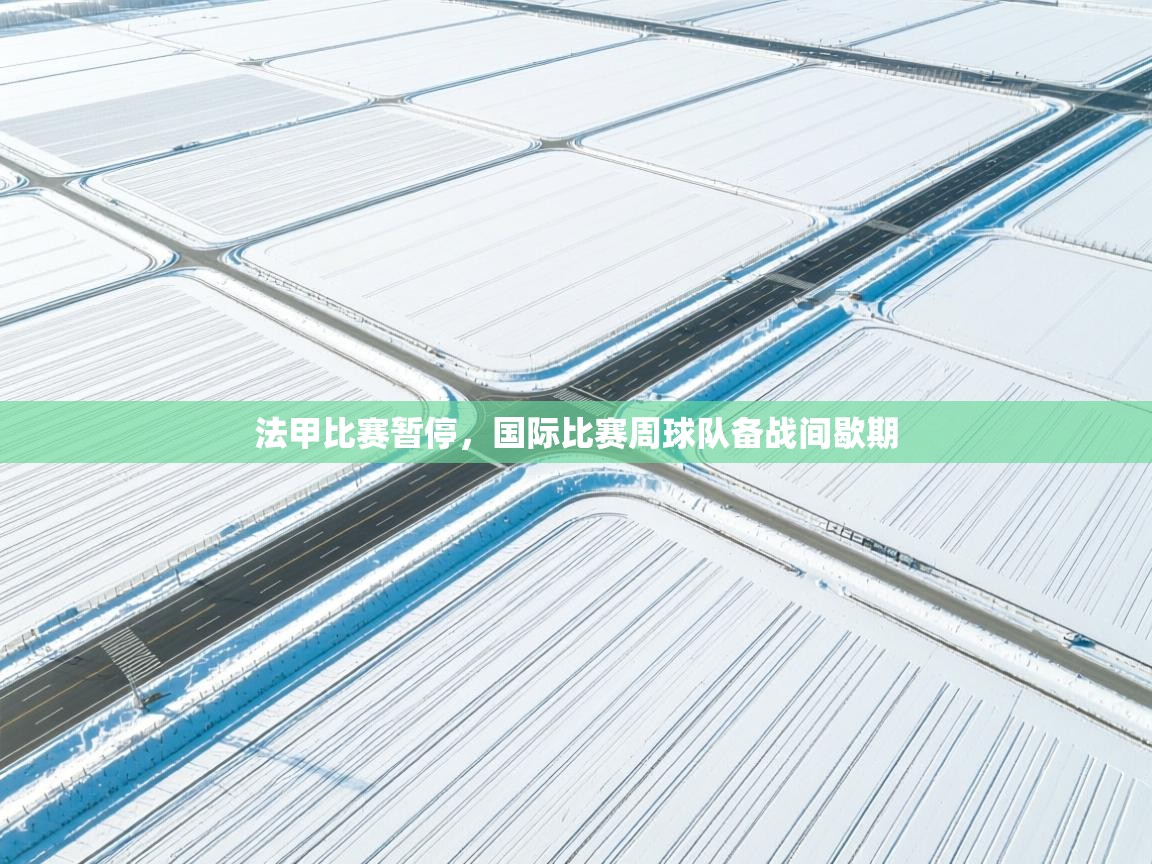 法甲比赛暂停,国际比赛周球队备战间歇期 第1张